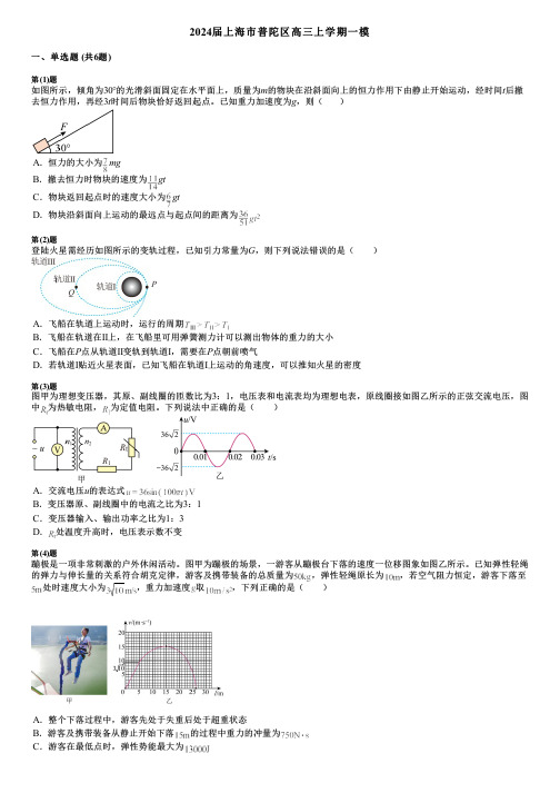 2024届上海市普陀区高三上学期一模