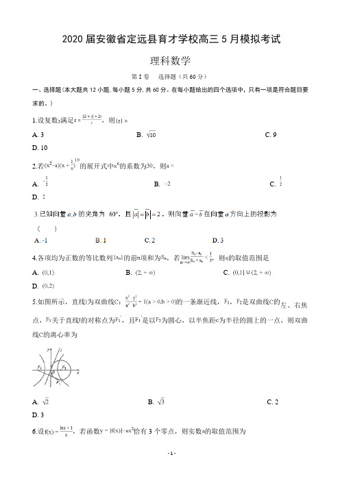 2020届安徽省定远县育才学校高三5月模拟考试数学(理)试题