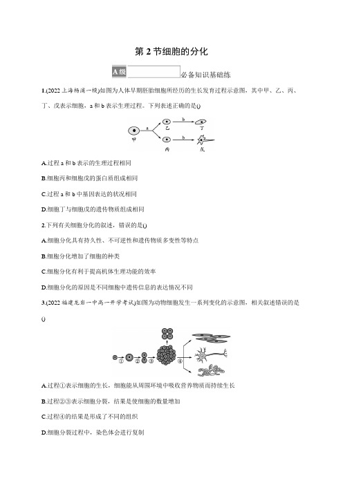 高中生物人教版2019必修1习题答案第6章细胞的生命历程第2节细胞的分化