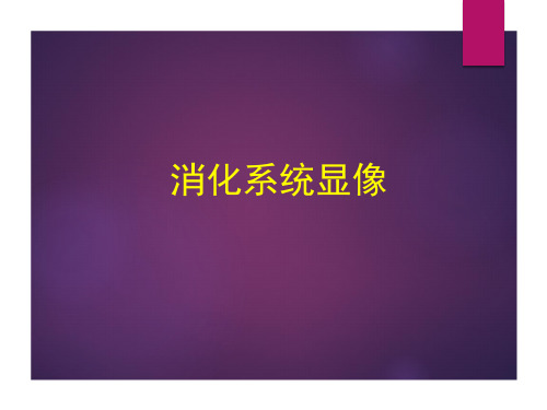 核医学--消化系统显像