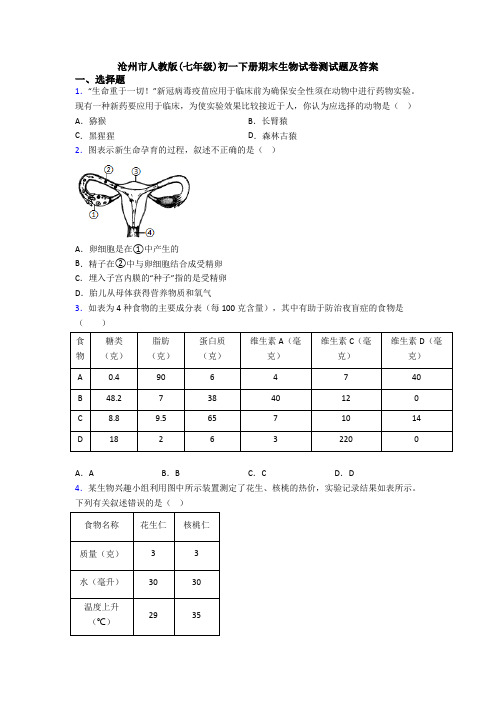 沧州市人教版(七年级)初一下册期末生物试卷测试题及答案