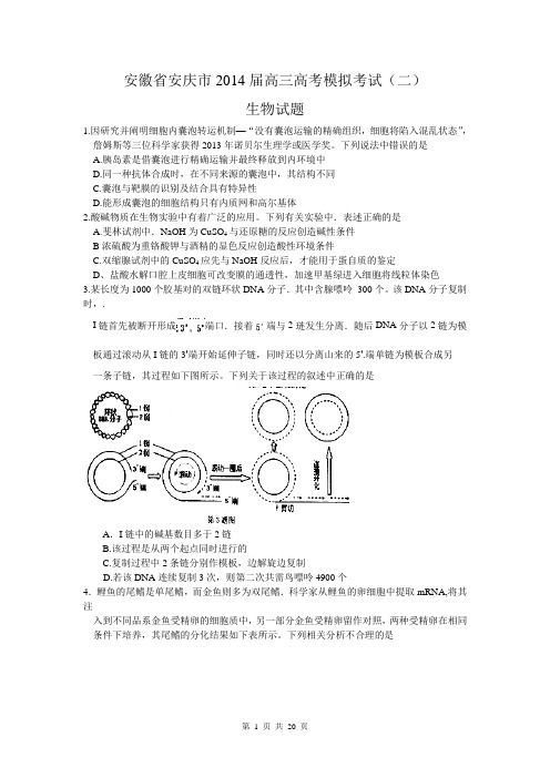 安徽省安庆市2014届高三高考模拟考试(二)理综试题(WORD版)