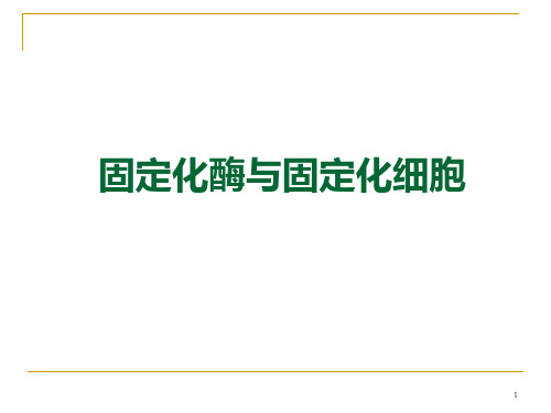 第二章 4 固定化酶与固定化细胞PPT课件