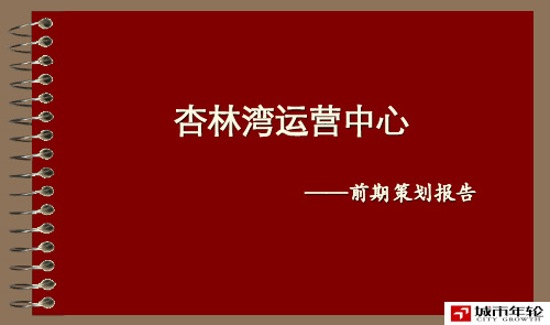 厦门杏林湾运营中心前期策划汇报稿2051391901