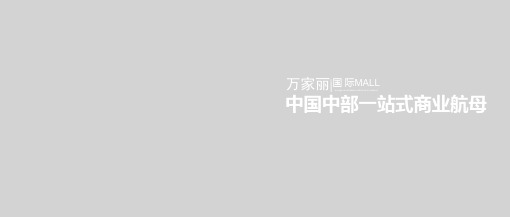 长沙万家丽国际购物广场项目简介