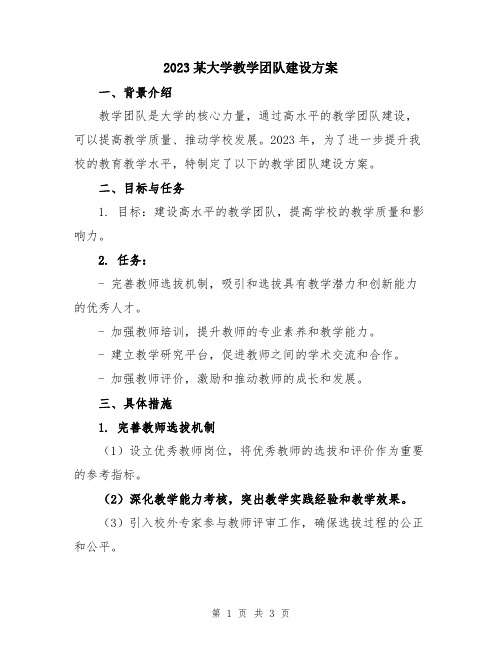 2023某大学教学团队建设方案