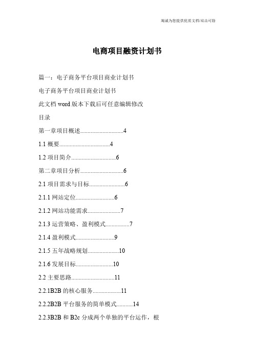 电商项目融资计划书