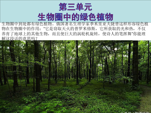 3.1.1 藻类、苔藓和蕨类植物 第一课时 课件 人教版七年级上册生物(共15张PPT)