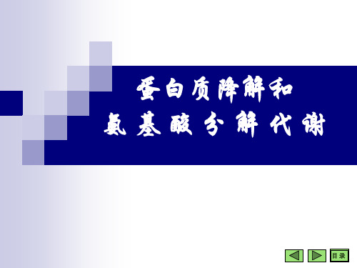 蛋白质的降解和AA的分解代谢