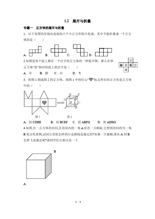 《展开与折叠》专题训练