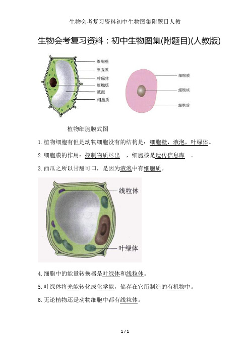 生物会考复习资料初中生物图集附题目人教