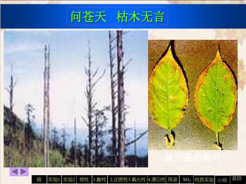 人教版高中化学必修一第四章第三节硫和氮的氧化物 课件%28共23张PPT%29