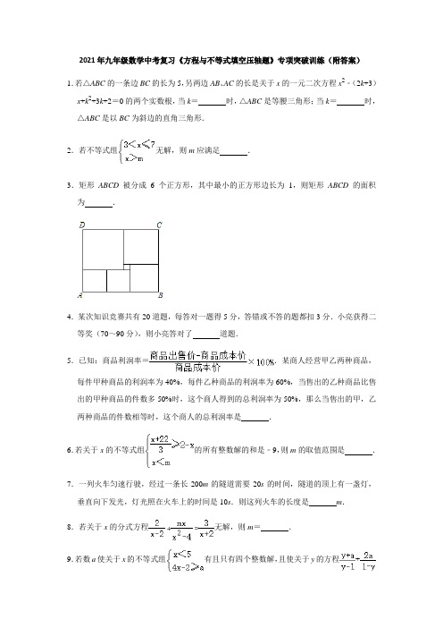 2021年中考一轮复习数学《方程与不等式填空压轴题》专项突破训练(附答案)