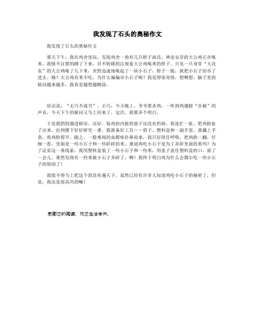 我发现了石头的奥秘作文