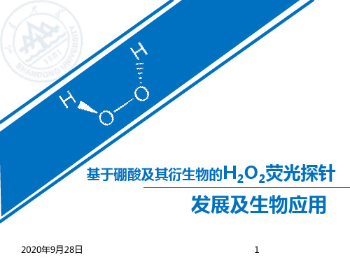 化学生物学荧光探针发光机理PPT课件