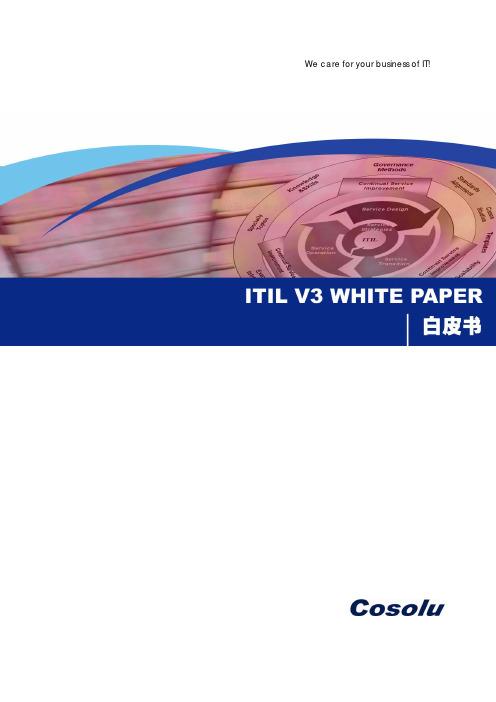 ITIL V3 白皮书_Cosolu_v2