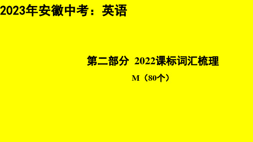 2023年安徽省中考英语专题总复习：词汇梳理M(80个)