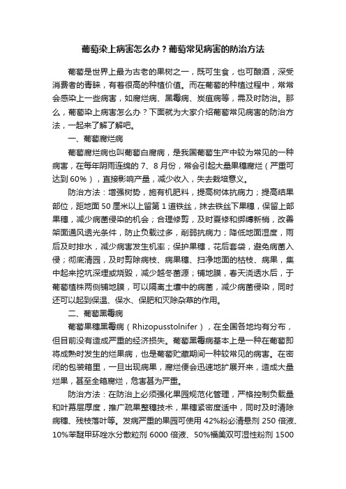 葡萄染上病害怎么办？葡萄常见病害的防治方法