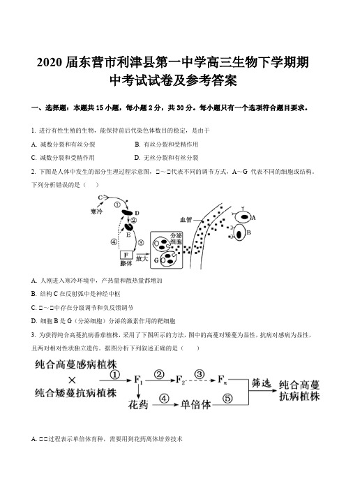 2020届东营市利津县第一中学高三生物下学期期中考试试卷及参考答案