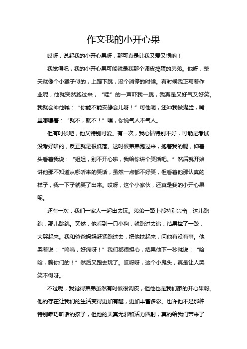 作文我的小开心果