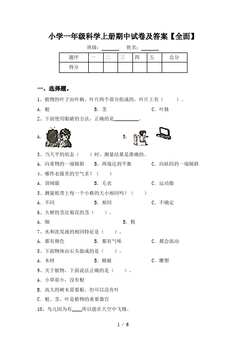 小学一年级科学上册期中试卷及答案【全面】