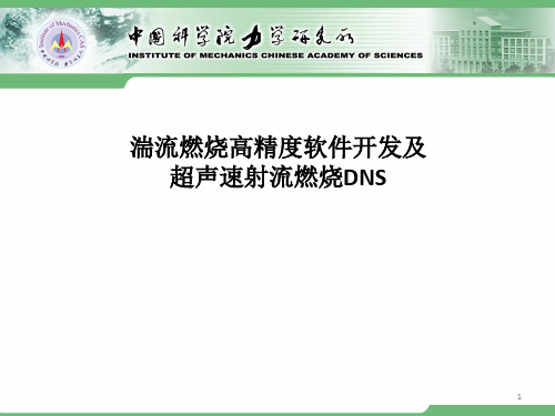 湍流燃烧高精度数值模拟软件开发及射流燃烧DNS-李新亮