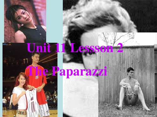 英语：Unit11《The Media》lesson 2 Paparazzi 课件(1)(北师大版必修4)