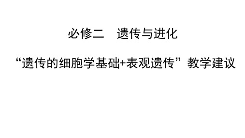 浙科版高中生物 必修二  遗传与进化 “遗传的细胞学基础 表观遗传”教学建议 课件(共85张PPT)(共85张PPT)