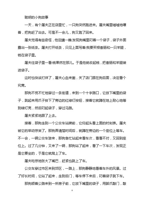 聪明的小狗故事