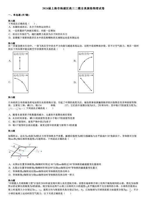 2024届上海市杨浦区高三二模全真演练物理试卷