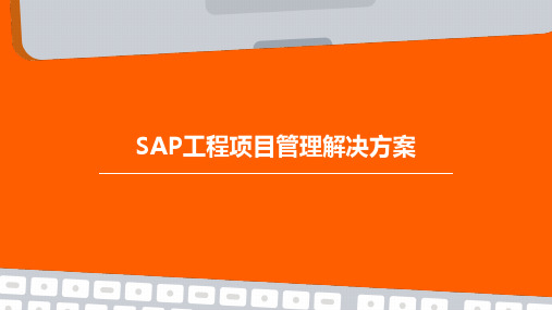 SAP工程项目管理解决