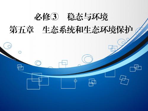 【智慧测评】2015高考生物(人教版)总复习课件：必修3 第5章 第1讲 生态系统的结构和能量流动