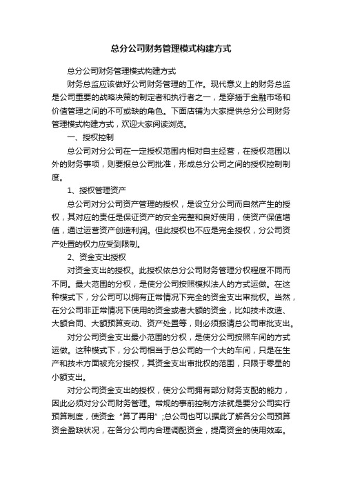 总分公司财务管理模式构建方式