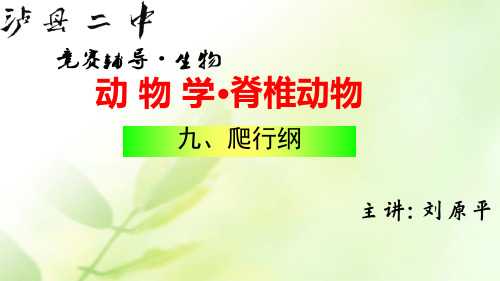 爬行纲【高中生物奥赛讲座专题09】