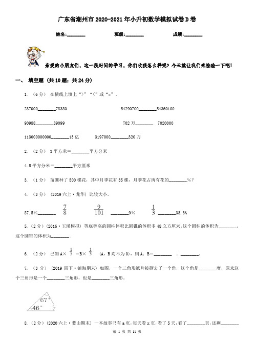 广东省潮州市2020-2021年小升初数学模拟试卷D卷