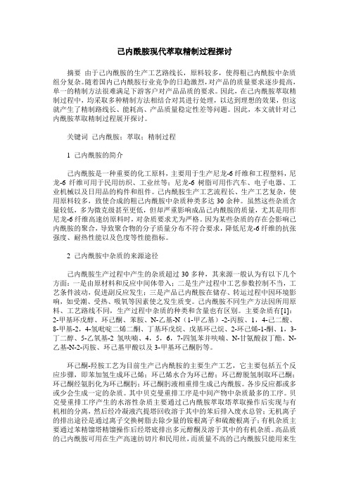 己内酰胺现代萃取精制过程探讨