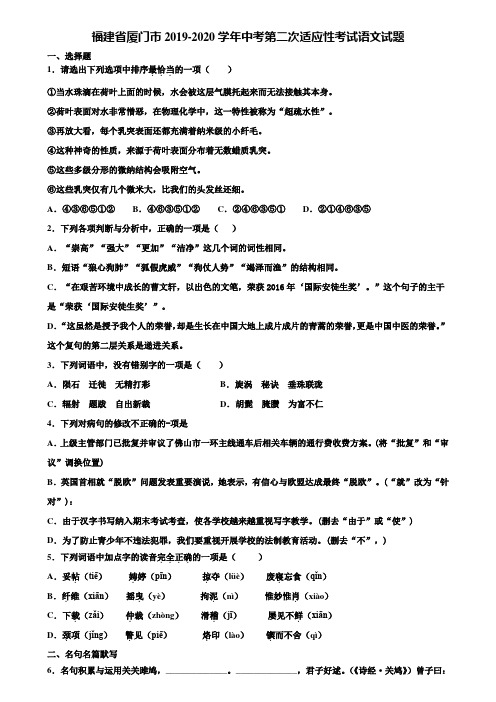 福建省厦门市2019-2020学年中考第二次适应性考试语文试题含解析