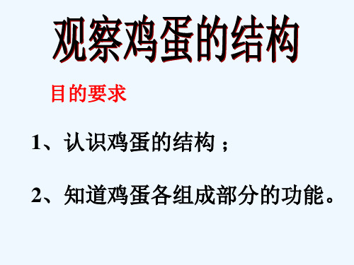 生物人教版八年级下册鸡蛋结构和功能