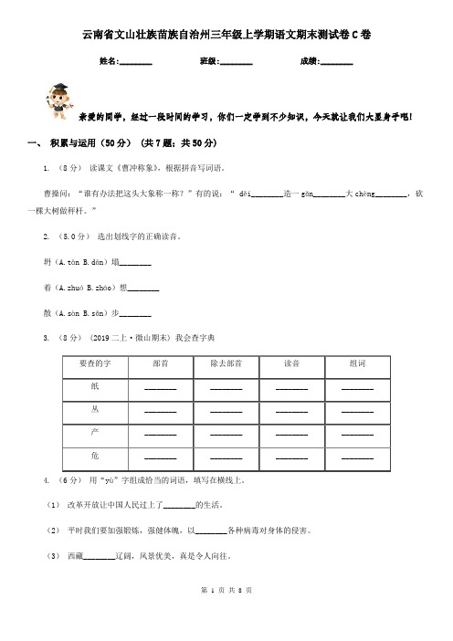 云南省文山壮族苗族自治州三年级上学期语文期末测试卷C卷