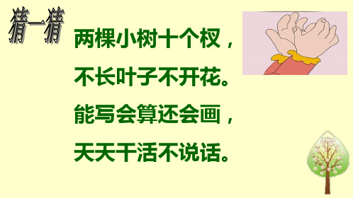 一年级语文上《识字6画》920PPT课件 一等奖名师公开课比赛优质课评比试讲