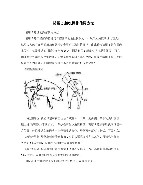 猪用B超机操作使用方法