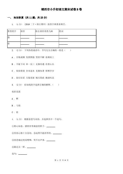 靖西市小升初语文期末试卷B卷