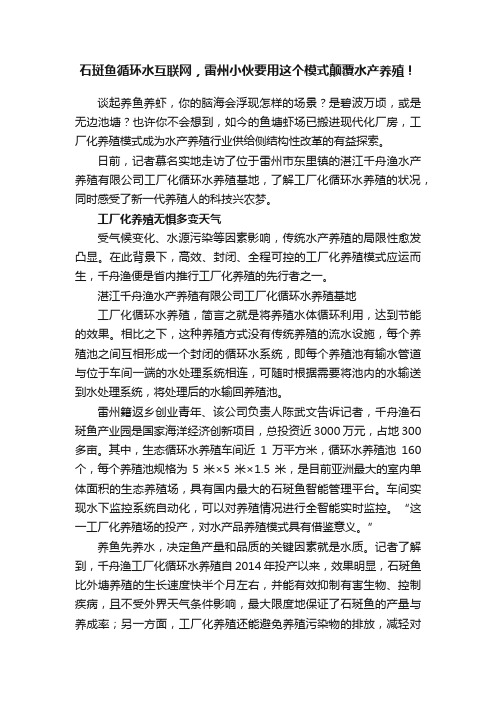 石斑鱼循环水互联网，雷州小伙要用这个模式颠覆水产养殖！