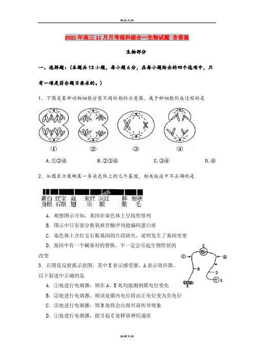 2021年高三11月月考理科综合--生物试题 含答案