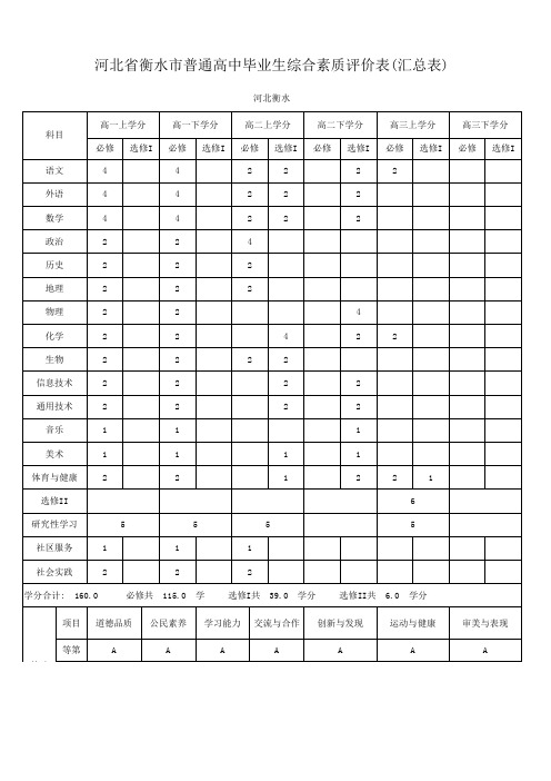 河北高中综合素质评价表学分汇总表