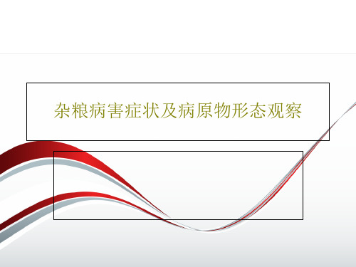 杂粮病害症状及病原物形态观察36页PPT