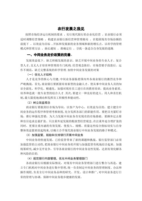 农行发展之我见