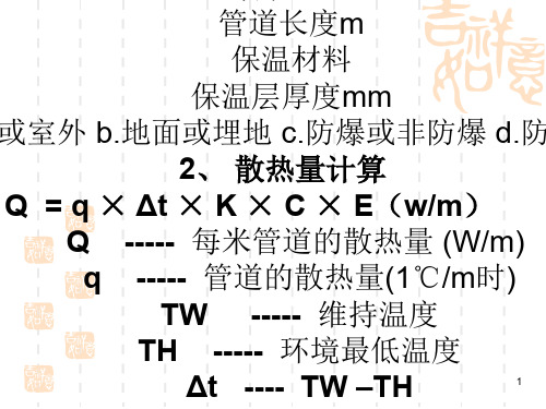 电伴热-设计与安装ppt课件