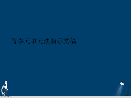 等参元单元法演示文稿