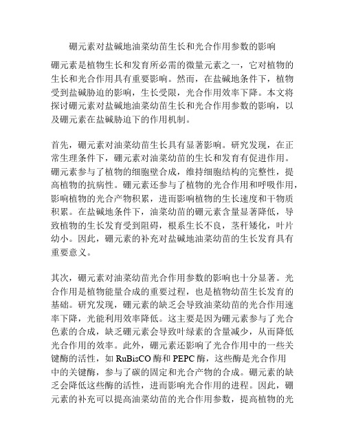 硼元素对盐碱地油菜幼苗生长和光合作用参数的影响